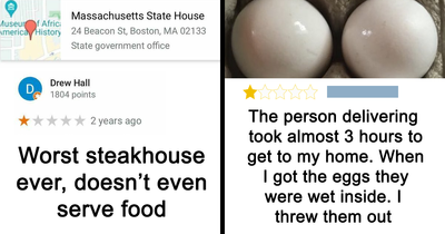 50 Times People Won The Internet With Their Hilarious Reviews