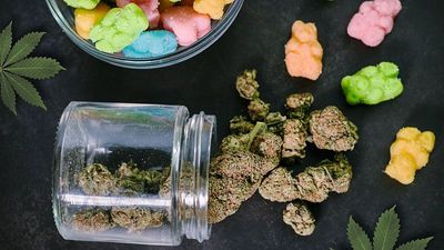 Highly potent cannabis products tied to risk of psychosis, schizophrenia, and addiction, study finds