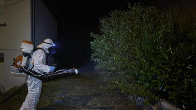 France faces record chikungunya cases as US suspends vaccine licence