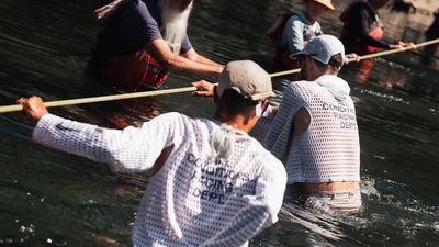 Nike’s new running top looks bananas — but the science behind it will keep you cool on your longest runs