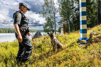 ‘For Russians, Nato is next to Satan’: Finnish guards on alert at Russia border