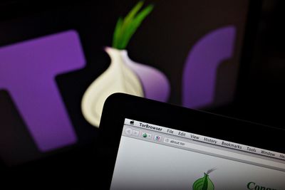 Privacy at a cost: the dark web’s main browser helps pedophile networks flourish, experts say