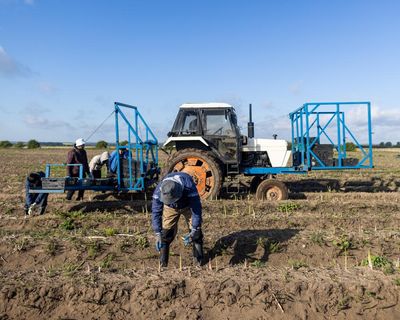 Tuesday briefing: How ‘climateflation’ is pushing food prices ever higher – and changing how we eat