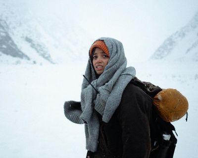 The Occupant review – air crash survival thriller gets Rob Delaney’s voice for company