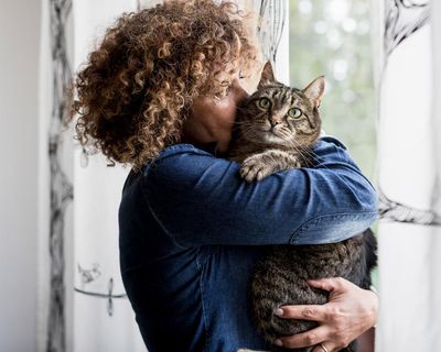 Why do cats love middle-aged women so much?