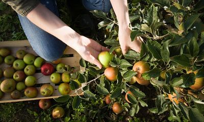 UK agriculture students: share your experiences