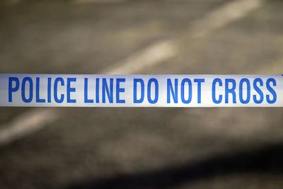Two arrested after spate of dog attacks leave multiple people injured
