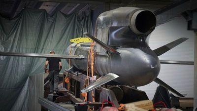 Will Ukraine’s new long-range Flamingo cruise missile put Russia on red alert?