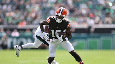 Browns Release Well-Traveled Former Pro Bowl Wide Receiver