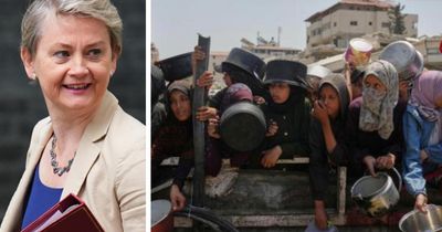 Gaza students 'working blind' as Labour tell media of visa decisions – but not them