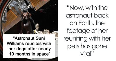 Astronaut Comes Back After 10 Long Months, Her Reunion With Dogs Melts Hearts Online