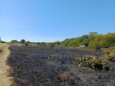 Firefighters tackle five large grass fires across London over Bank Holiday weekend