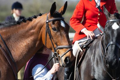 Britain's Horse Racing Strike Spells Doom for Gamblers, Fans, and the Economy