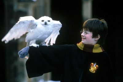 Chris Columbus: 'Home Alone and Harry Potter weren’t meant to be family films'