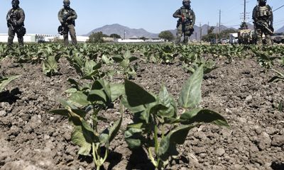 ICE Raids Push Workers Into the Shadows, Disrupting the Economy