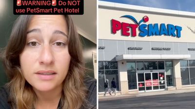 ‘That’s absolutely terrifying’: Woman books PetSmart pet hotel. Then her dog comes back covered in blood