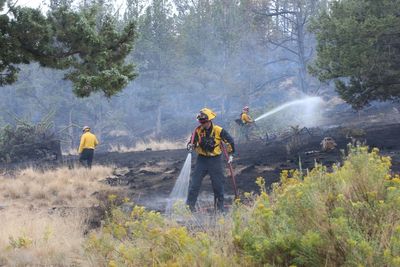 Firefighters try to corral California forest blaze as lightning strikes bring risk of new ignitions