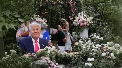 Even President Donald Trump reacted to Taylor Swift and Travis Kelce's engagement. What did he say?