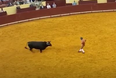 Horror in Lisbon: Bullfighter Killed in Front of 7,000 Fans After 1,500lb Bull Throws Him Against Wall
