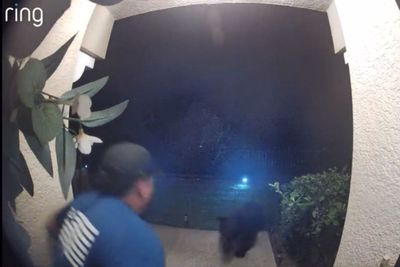 Florida man attacked by black bear in front yard after yelling at it