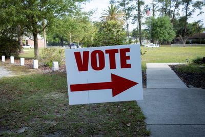 Trump loyalist who pushed false election claims takes on government role
