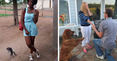 50 Funny Times Pets Ruined The Perfect Shot And Stole Every Crumb Of Spotlight