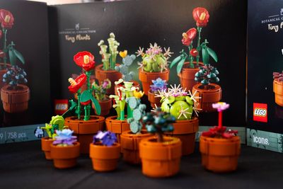 Lego’s most popular sets as sales hit record high