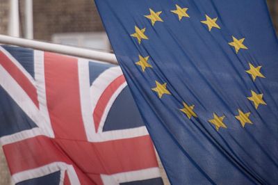 Accusations of treason over EU food and drink deal are ‘nonsense’, minister says