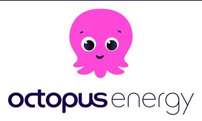 Octopus Energy Price Rise: Winter Support, Login Access and Customer Help Explained