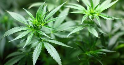 £1.6 million worth of drugs seized by police in Scottish town