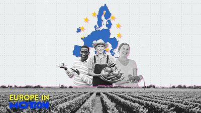 Which EU countries are fresh produce powerhouses?