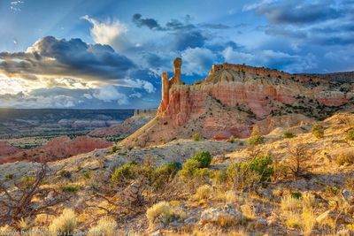 Plague infects New Mexico man after run of cases in western states