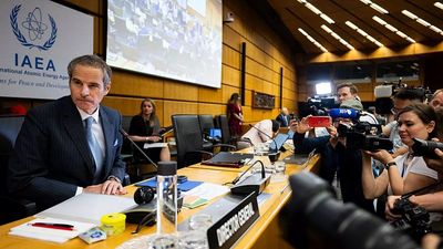 IAEA chief gets Austrian Cobra police protection over 'unspecified threat'