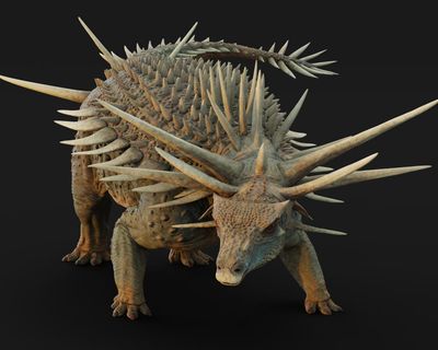 ‘Bristling with spikes’: oldest known ankylosaur fossil found in Morocco