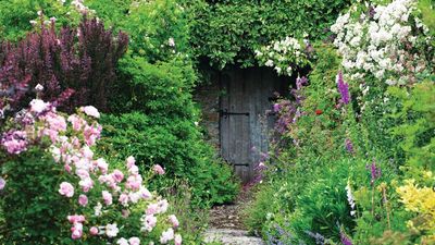 5 easy gardening jobs to get done before September arrives – don't leave it too late to tick off these quick but important tasks