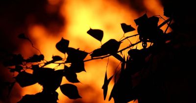 Calls for wildfire summit in 2026 after devastating summer fires