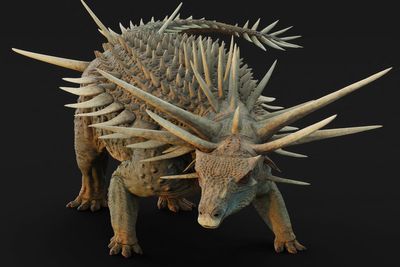 New fossil reveals secrets of ‘bizarre’ armoured dinosaur covered in spikes