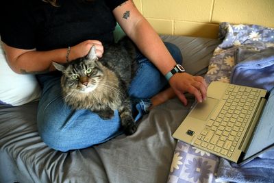 Photos of pets in dorms: Colleges are welcoming animals to help students feel at home