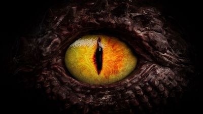 Diagnostic dilemma: Rare condition made a woman see people as dragons