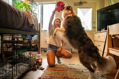 Inside the colleges with support pets for students