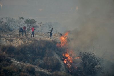 Europe experienced its worst wildfire season on record this year