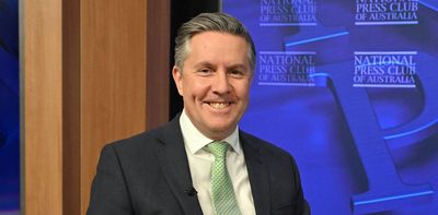 Politics with Michelle Grattan: Health Minister Mark Butler on kids on the NDIS and aged care funding