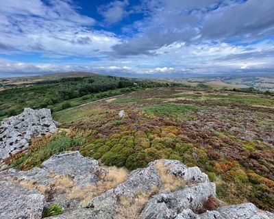 Country diary: The sight – and smell – of a habitat success story