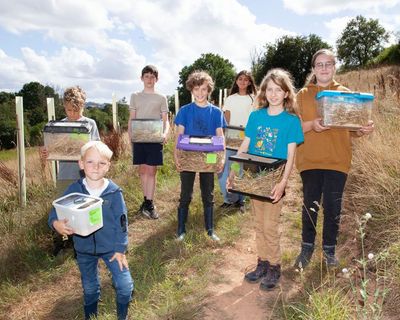 ‘They’re beautiful’: 13-year-olds lead audacious project to save harvest mice in Devon