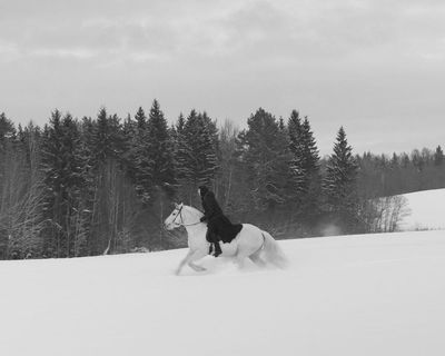Mother Vera review – luminous portrait of a horse-wrangling ex-heroin addict nun