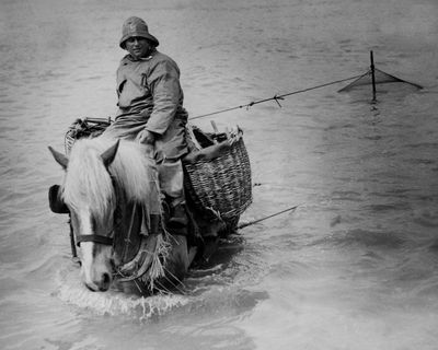 Seascraper by Benjamin Wood review – a story that sings on the page