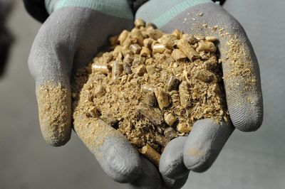 Drax under investigation by City watchdog over biomass sourcing