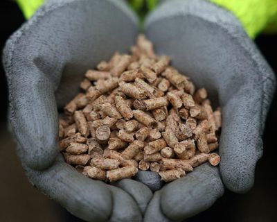 Drax’s shares plunge as City watchdog investigates sourcing of wood pellets