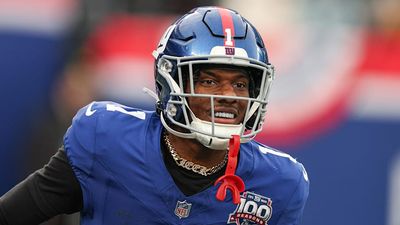 Predicting 2025 NFL Stat Leaders: Watch Out for Malik Nabers, Omarion Hampton, More