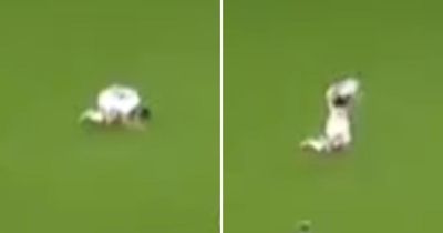 Moment Findlay Curtis pounds turf in unseen Rangers reaction to Brugge defeat
